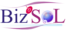 bestbizsol.com Logo